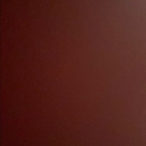 Meet your Posher, Beatriz adrianna